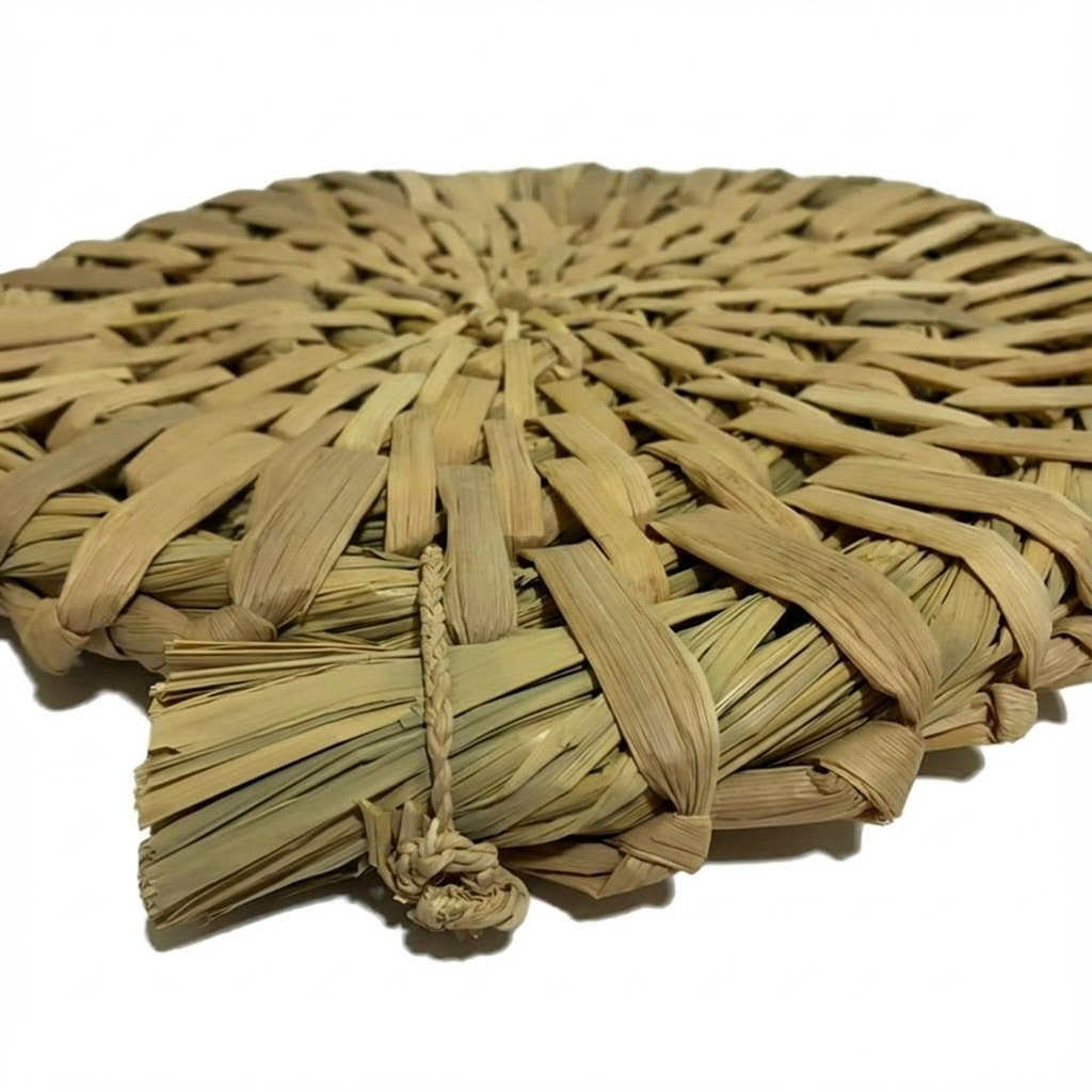 真菰円座（大）